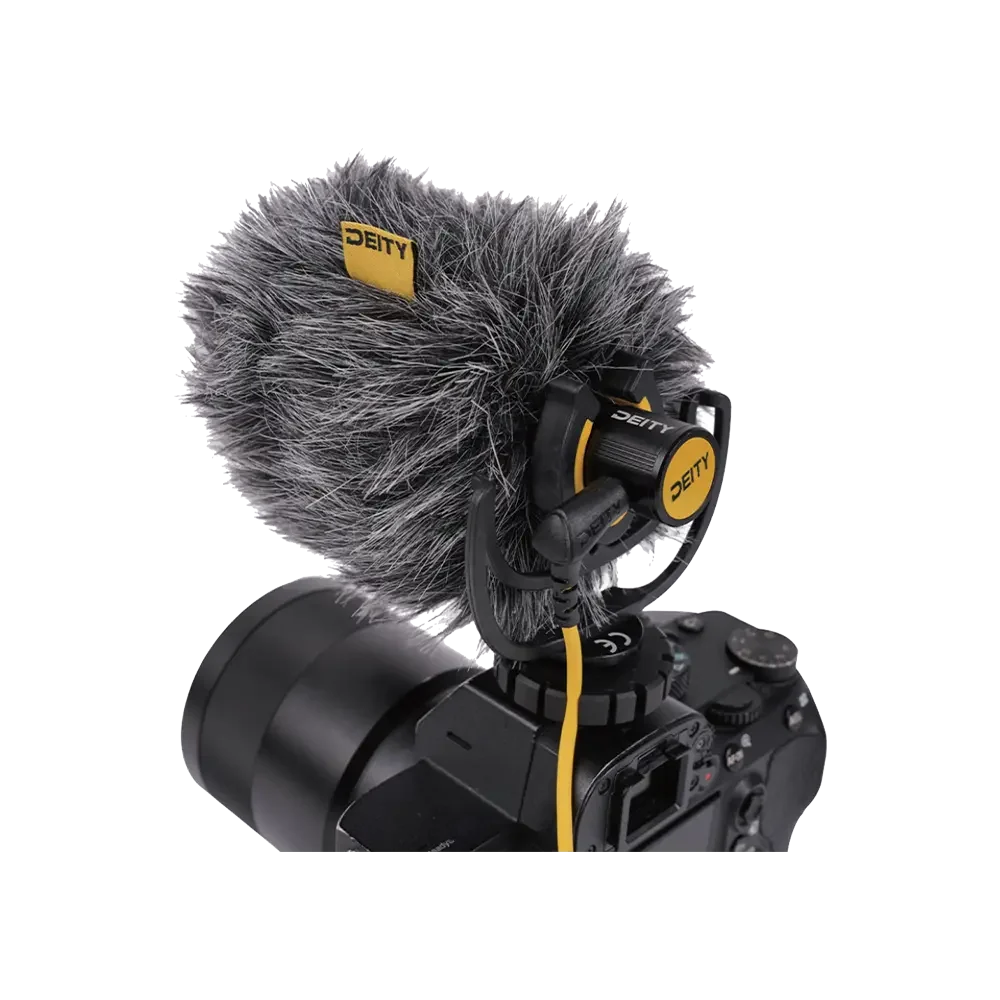 V-Mic D4 Mini